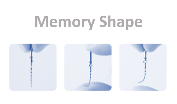 Memory Shape